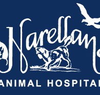 Narellan Animal Hospital - VETS Brisbane