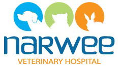 Narwee Veterinary Hospital - VETS Brisbane 0
