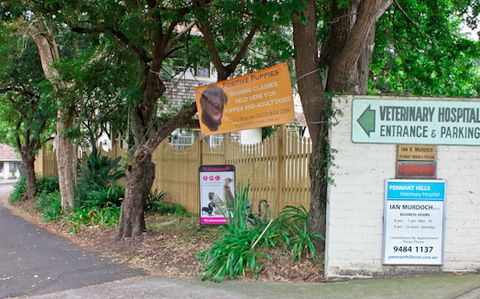 Pennant Hills Veterinary Hospital - VETS Brisbane 0