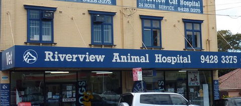 Riverview Animal Hospital - VETS Brisbane 0