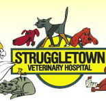 Struggletown Veterinary Hospital - VETS Brisbane