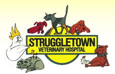 Struggletown Veterinary Hospital - VETS Brisbane 0