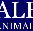 Albert Animal Hospital - VETS Brisbane