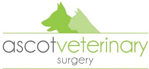 Ascot Veterinary Surgery - VETS Brisbane 0