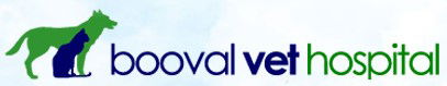 Booval Vet Hospital - VETS Brisbane 0