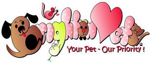 Brighton Veterinary Surgery - VETS Brisbane 0