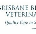 Brisbane Bird  Exotics Veterinary Service - VETS Brisbane
