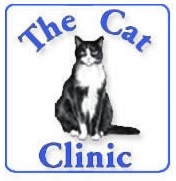 Mount Gravatt QLD VETS Brisbane