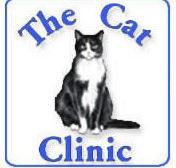 Creek Road Cat Clinic - VETS Brisbane
