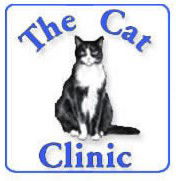 Creek Road Cat Clinic - VETS Brisbane 0