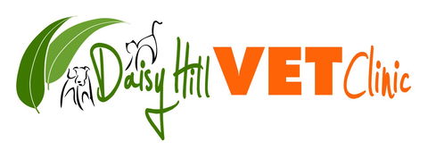 Daisy Hill Vet Clinic - VETS Brisbane 0