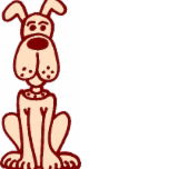 All Creatures Veterinary Hospital - VETS Brisbane