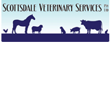 Scottsdale Veterinary Services Pty Ltd - VETS Brisbane