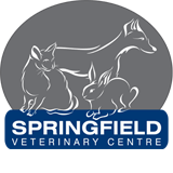 Springfield Veterinary Centre - thumb 0