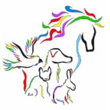 Belinda's Natural Animal Therapies - Mobile Clinic - VETS Brisbane 0