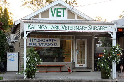 Kalinga Park Veterinary Surgery - VETS Brisbane 0