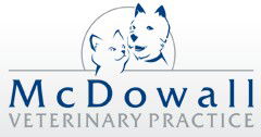 McDowall Veterinary Practice - VETS Brisbane 0