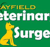 Morayfield Veterinary Surgery - VETS Brisbane