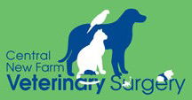 New Farm Veterinary Surgery New Farm