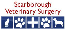 Scarborough Veterinary Surgery - VETS Brisbane 0