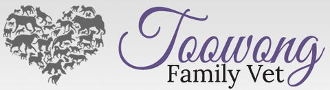 Toowong Family Vet - VETS Brisbane 0