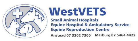 Westvets Animal Hospitals - VETS Brisbane 0