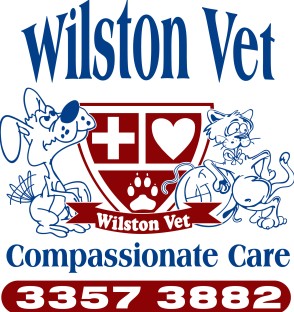 Wilston Vet - VETS Brisbane 0
