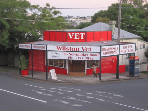 Wilston Vet - VETS Brisbane 1