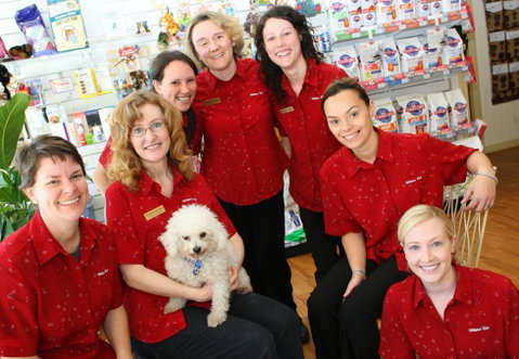Wilston Vet - VETS Brisbane 2