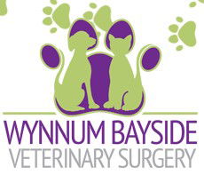 Wynnum Bayside Veterinary Surgery - VETS Brisbane 1