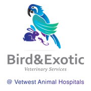 Bird & Exotic Veterinary Services - Perth - VETS Brisbane 0