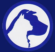 Carrum Downs Veterinary Clinic - VETS Brisbane