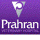 Prahran East VIC VETS Brisbane