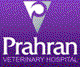 Prahran Veterinary Hospital - VETS Brisbane