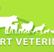Westernport Veterinary Clinics - VETS Brisbane