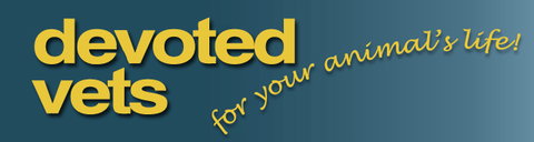 Devoted Vets - VETS Brisbane 0