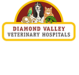 Montmorency Veterinary Hospital - VETS Brisbane