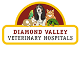 Montmorency Veterinary Hospital - VETS Brisbane 0