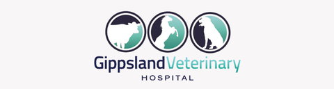 Gippsland Veterinary Hospital - VETS Brisbane 0