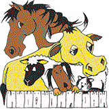 Book Stawell Accommodation Vacations VETS Brisbane VETS Brisbane