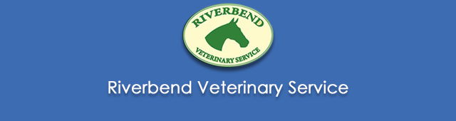Rufus NSW VETS Brisbane