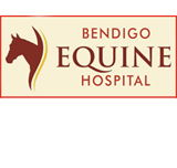 Bendigo Equine Hospital - VETS Brisbane