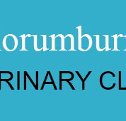 Korumburra Veterinary Clinic - VETS Brisbane