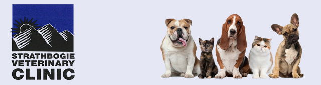 Tarcombe VIC VETS Brisbane