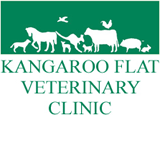 Book Big Hill Accommodation Vacations VETS Brisbane VETS Brisbane