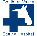 Goulburn Valley Equine Hospital - VETS Brisbane