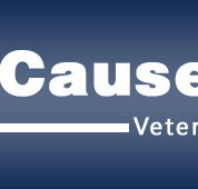 The Causeway Veterinary Clinic - VETS Brisbane