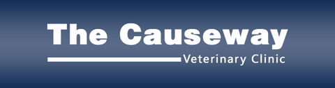 The Causeway Veterinary Clinic - VETS Brisbane 0