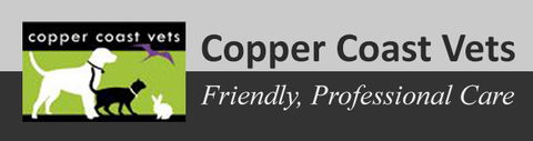 Copper Coast Vets - VETS Brisbane 0