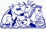 Book Mount Barker Accommodation Vacations VETS Brisbane VETS Brisbane